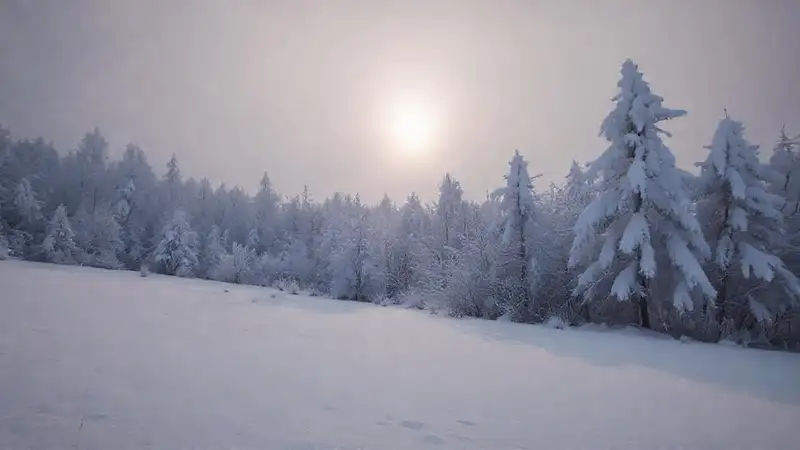 Paisaje invernal y melancólico