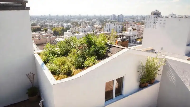 Casa moderna con jardín en techos