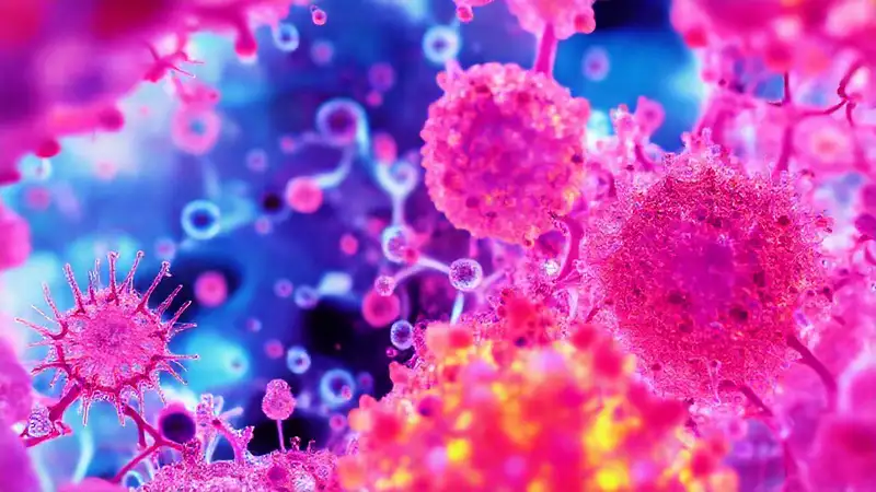 Nanomateriales celulares ofrecen perspectivas científicas innovadoras