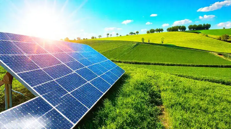 Paneles solares promueven un futuro sostenible