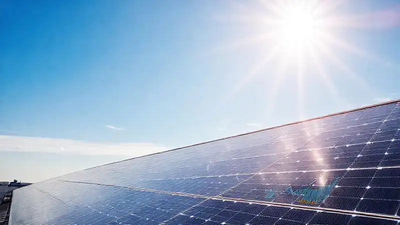 Paneles solares generan energía de forma optimista