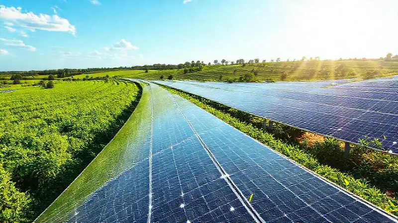 Energía solar transforma un paisaje esperanzador