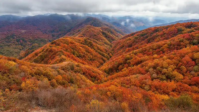 Paisajes variados capturan belleza efímera