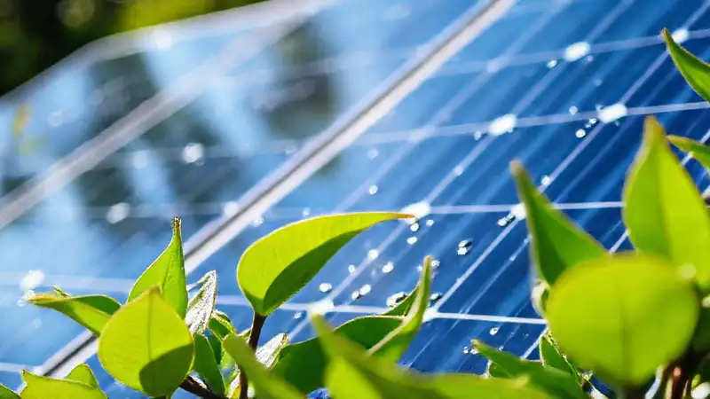 Paneles solares brillan, limpios y serenos