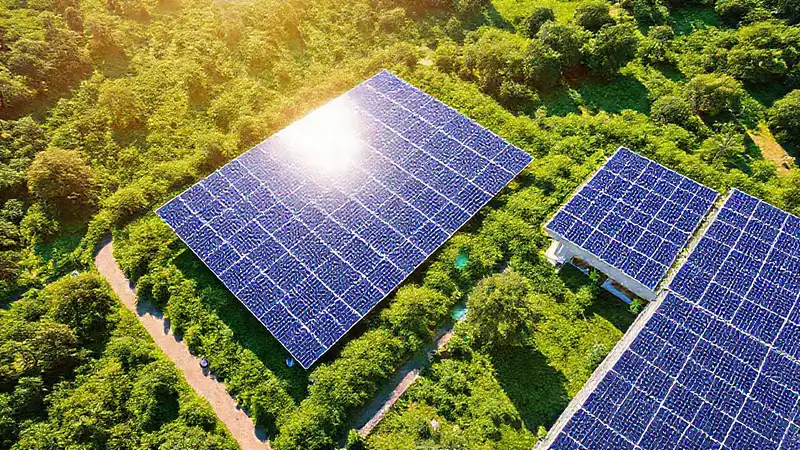 Paneles solares construyen un futuro verde