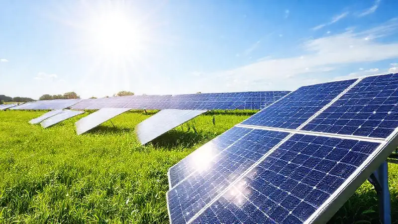 Paneles solares generan energía limpia y brillante