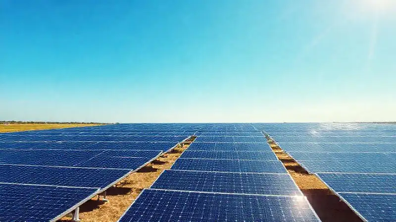 Solar farm canadiense, vibrante y limpia